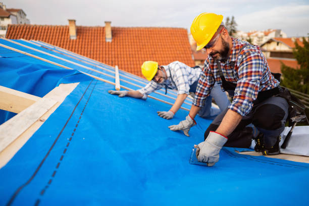 Best New Roof Installation  in Somerville, MA